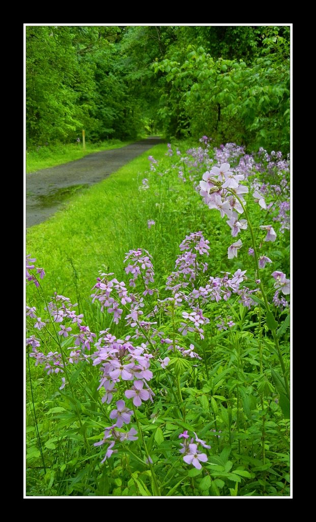 Columbia Trail