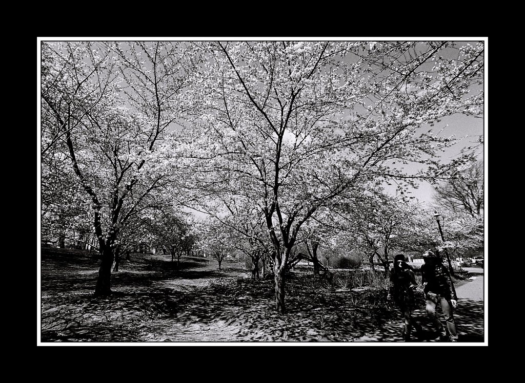 Branch Brook Park