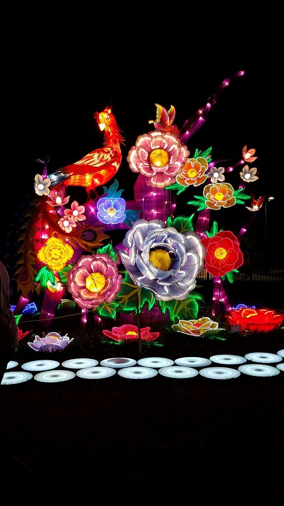 Project 365 + by Cheyenne Gigli