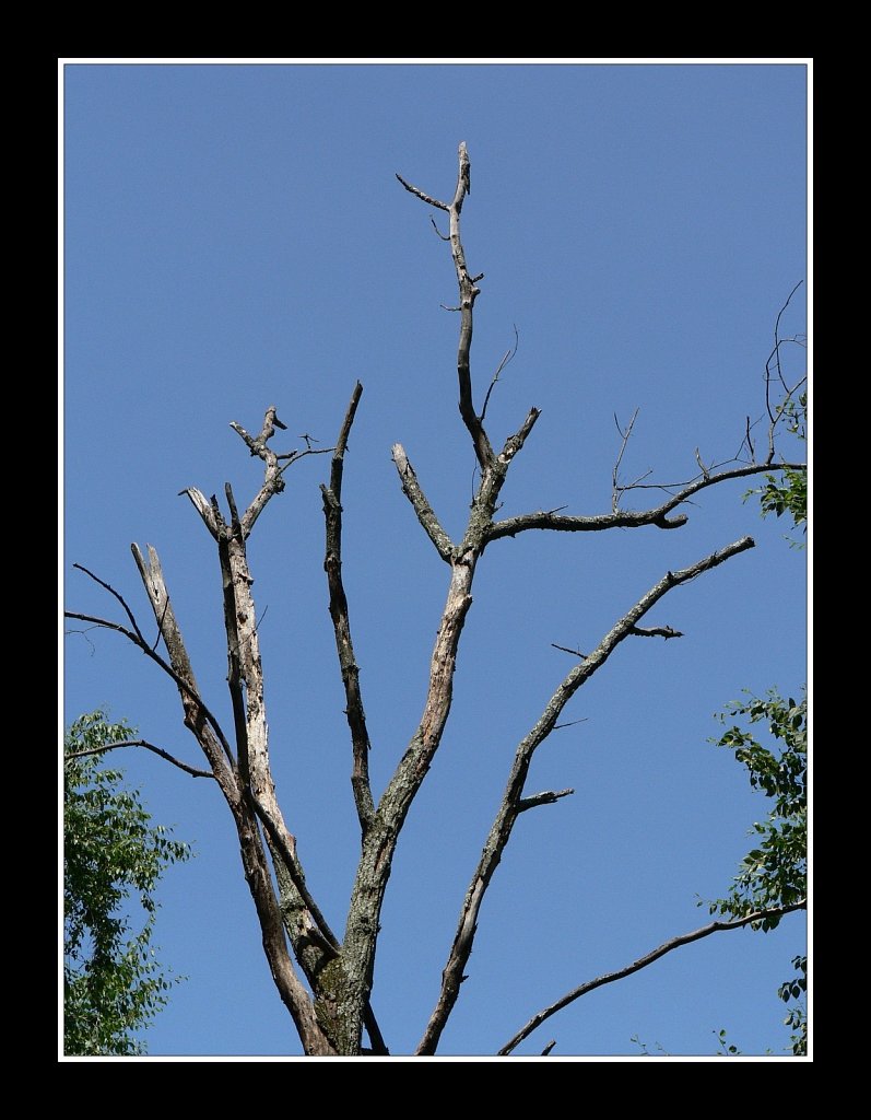 End of Life
