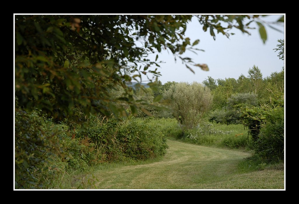 Teetertown Preserve 