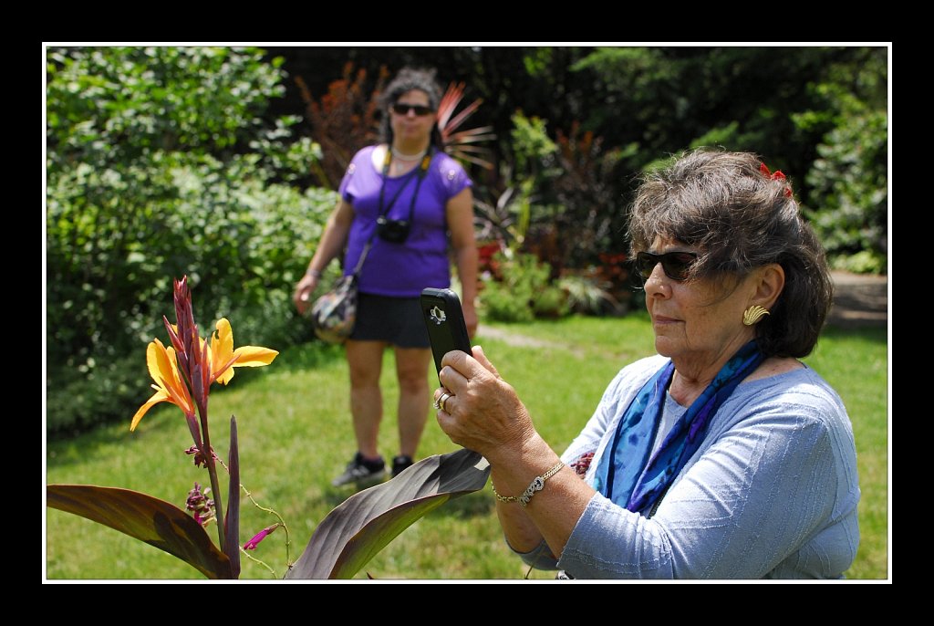 Willowwood Arboretum