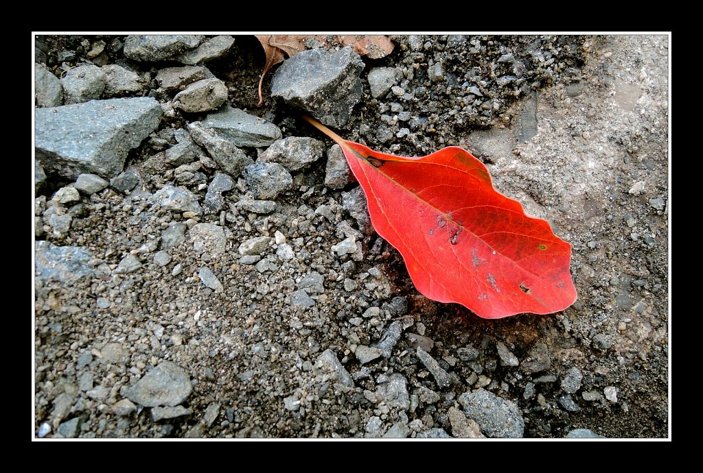 Schooley's Mountain Park