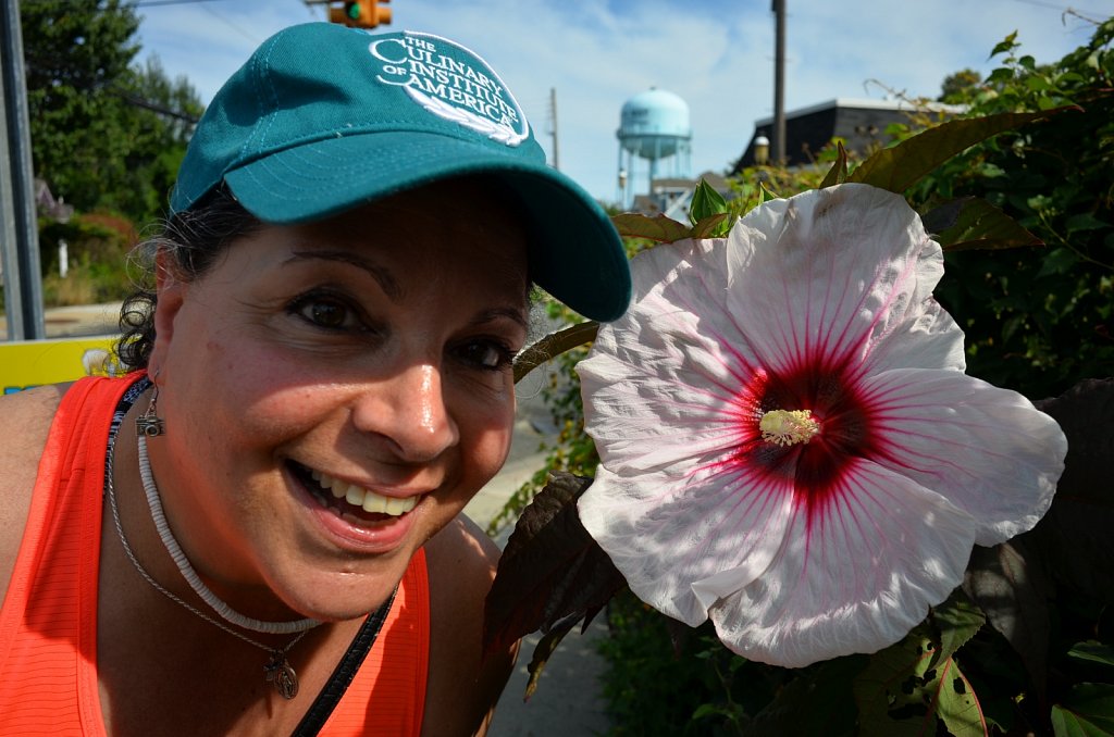 Flowers of Cape May