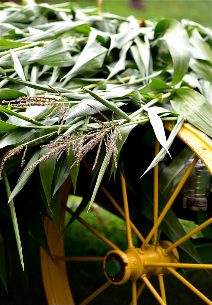 133rd Annual Delaware County Fair