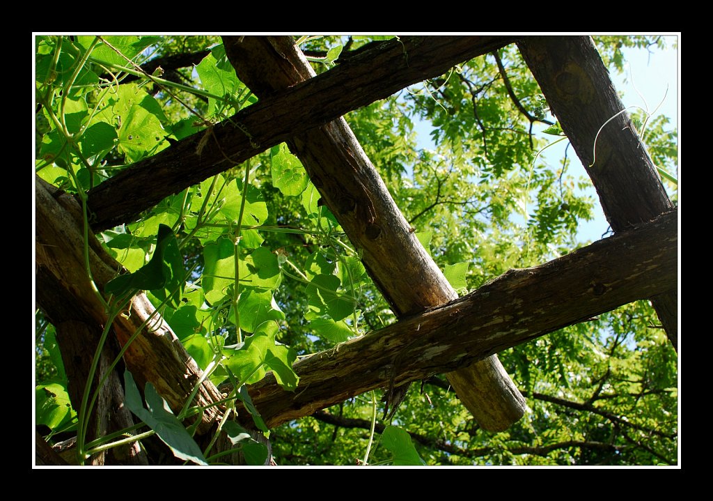 Bamboo Brook County Park