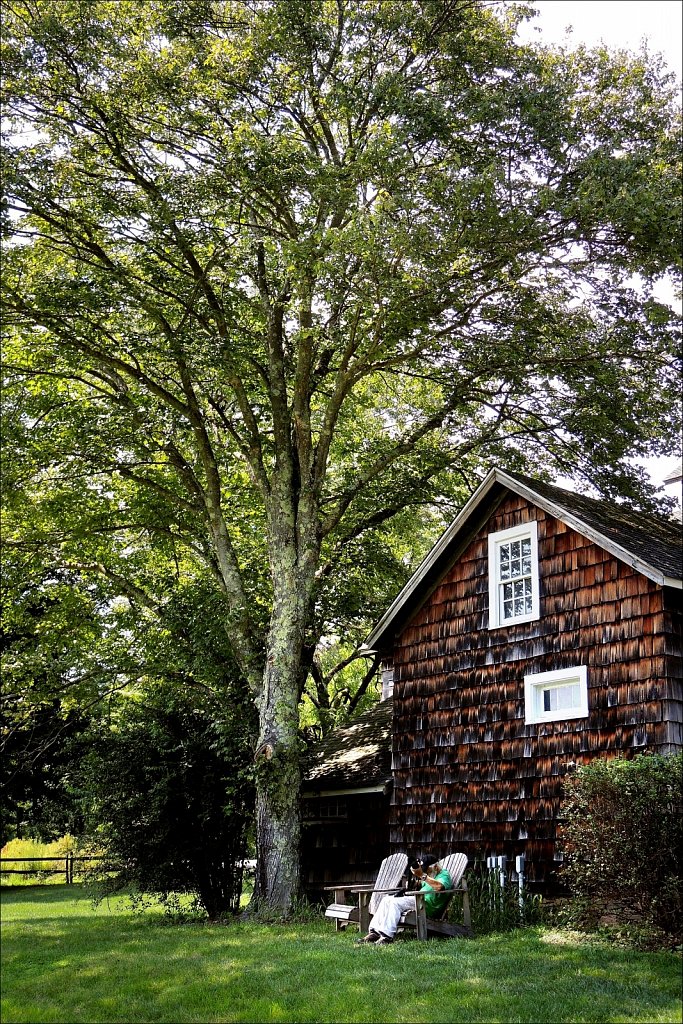 Bamboo Brook County Park