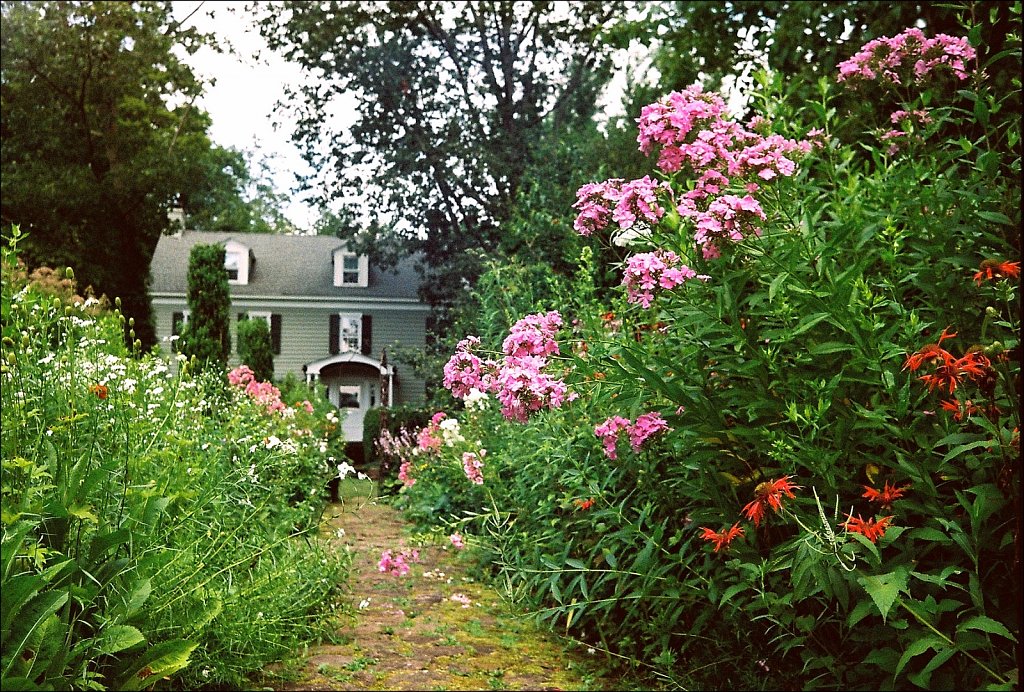 Willowwood Arboretum