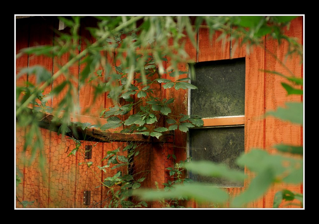 The Old Barn