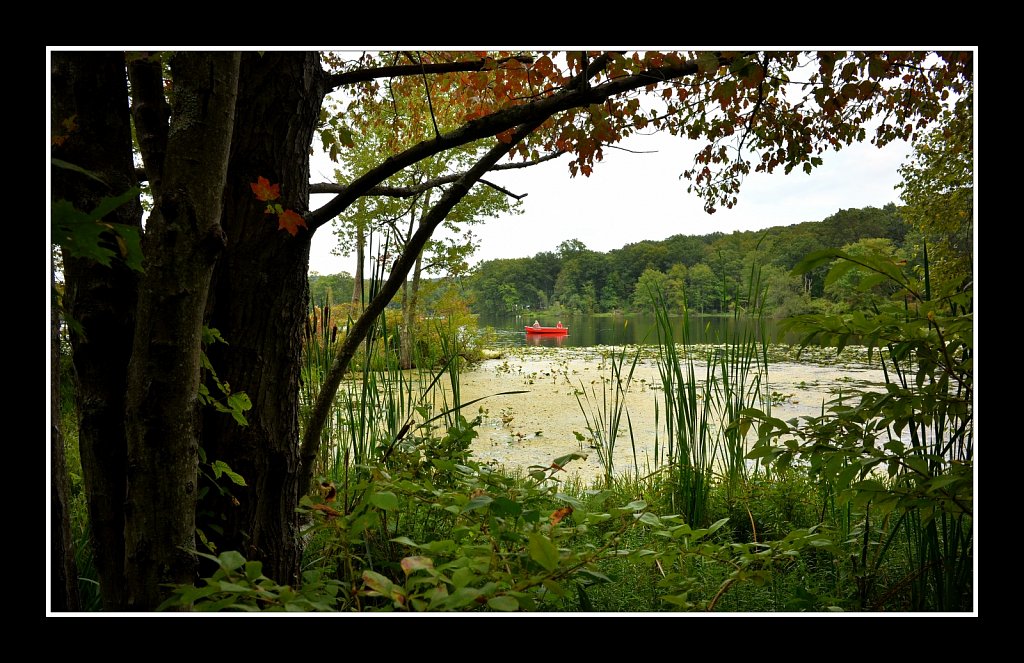 Sussex Branch Trail