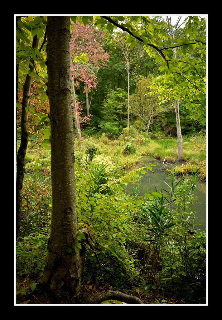 Sussex Branch Trail