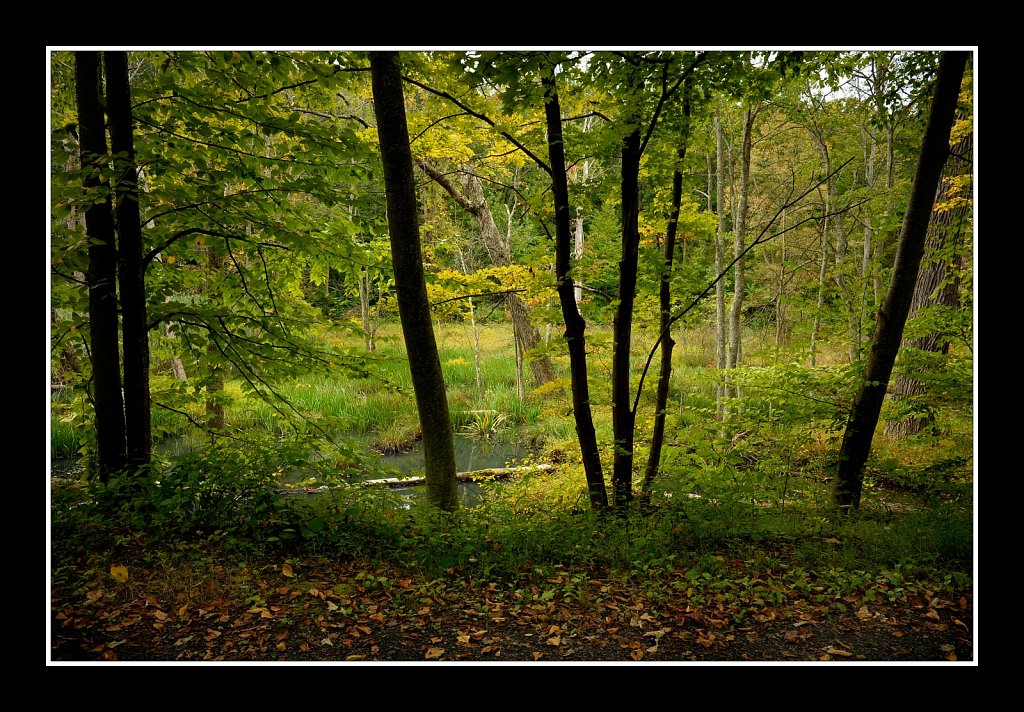 Sussex Branch Trail