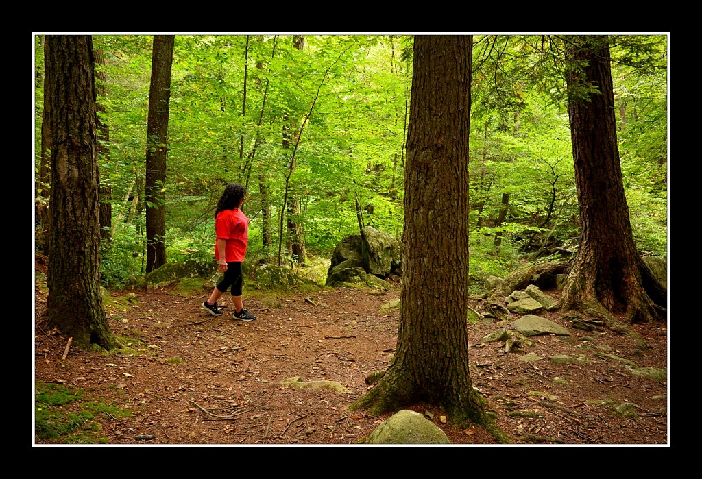 Sussex Branch Trail