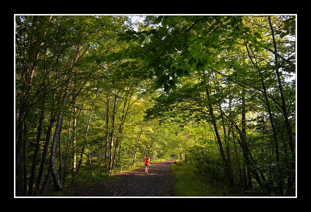 Sussex Branch Trail
