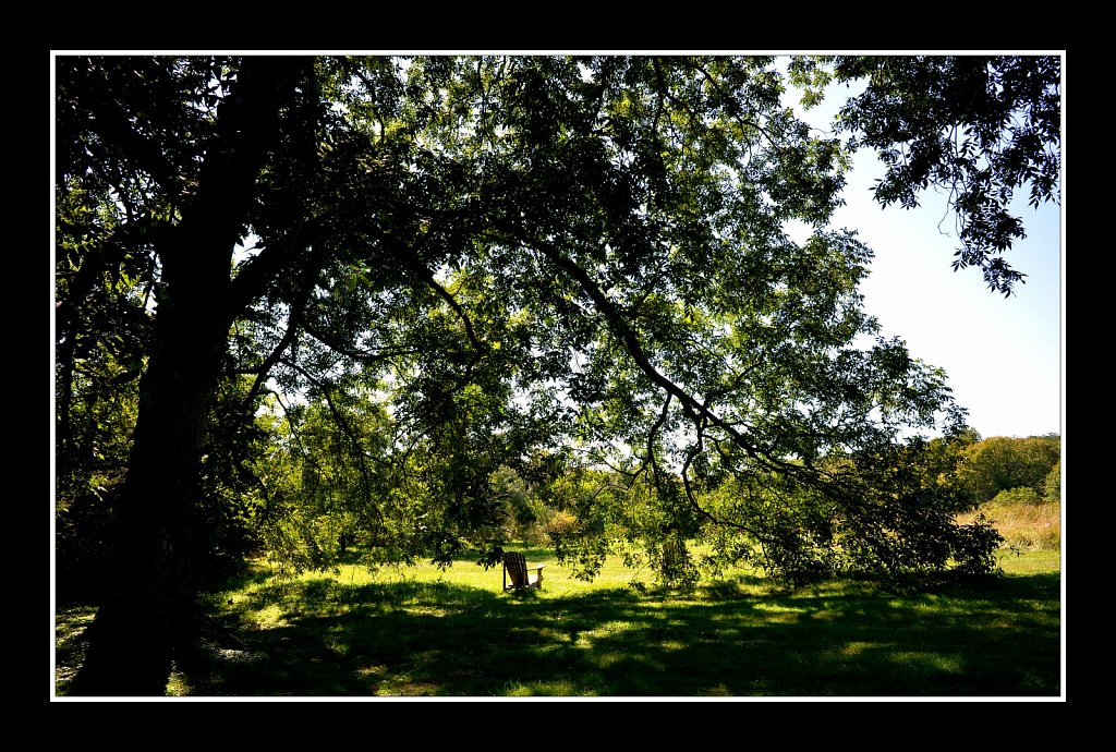 Willowwood Arboretum 