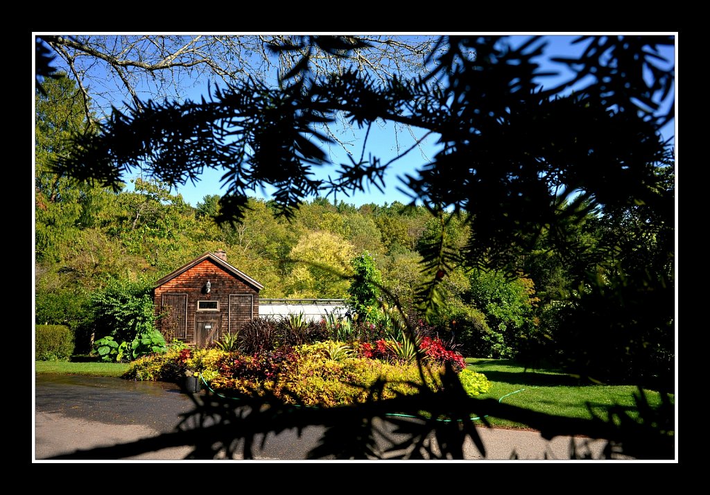 Willowwood Arboretum 