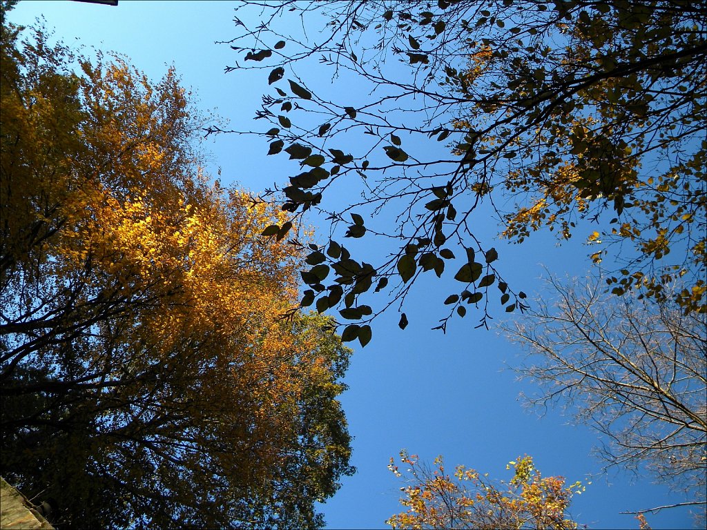 2019216F-DSCN2135.jpg