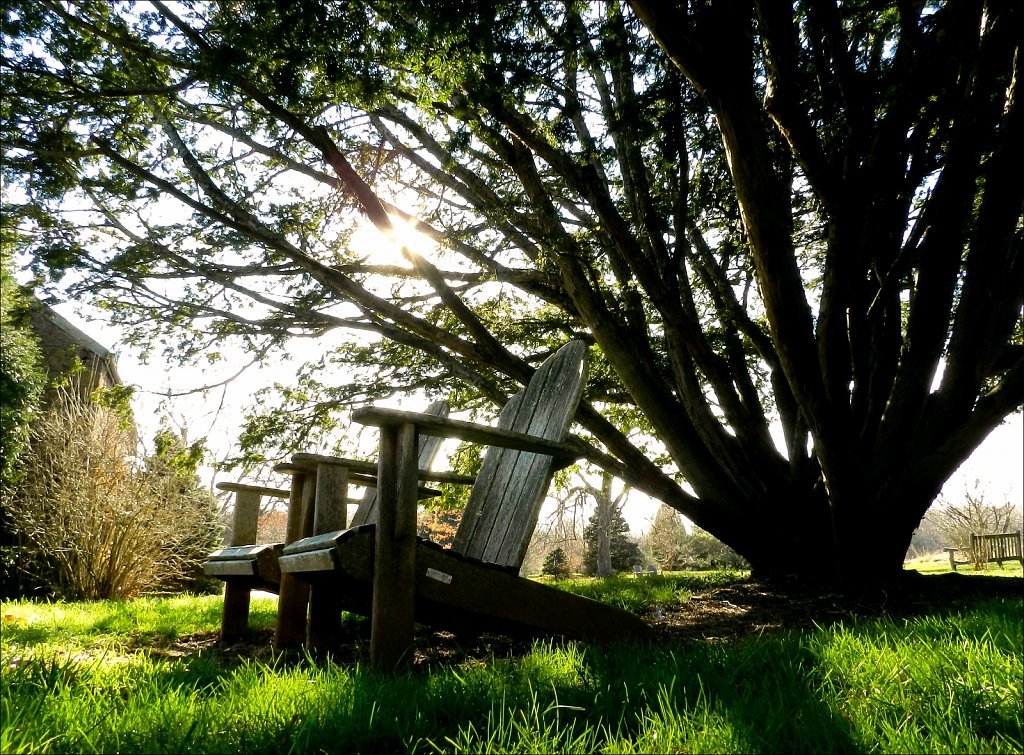 Willowwood Arboretum 