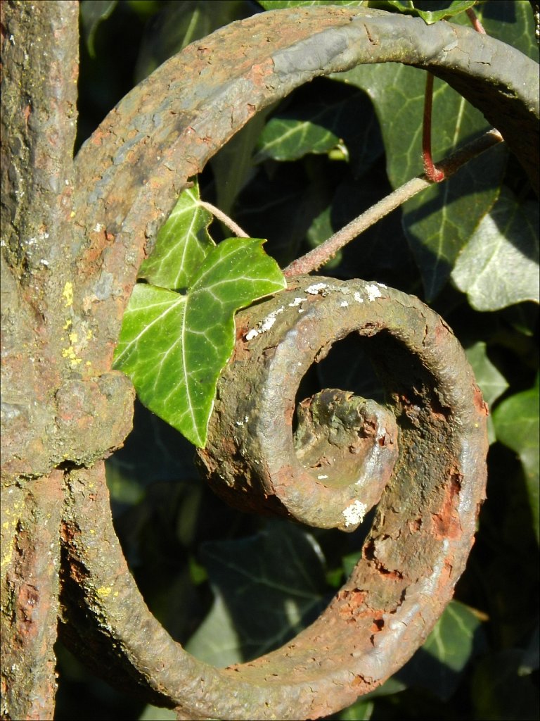 Willowwood Arboretum 