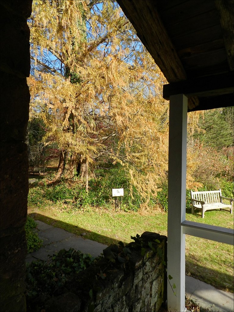 Willowwood Arboretum 