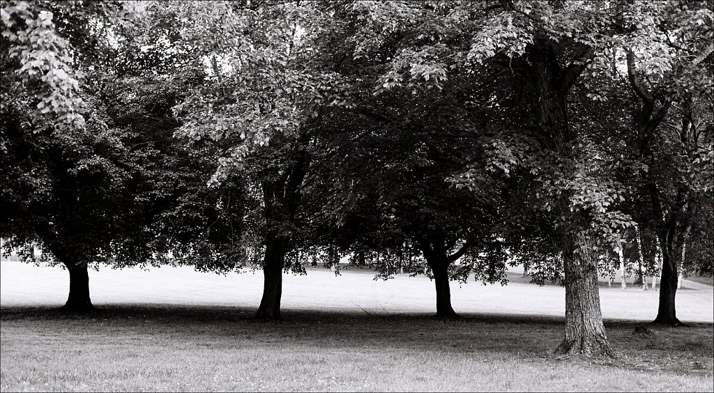 Schooley's Mountain Park