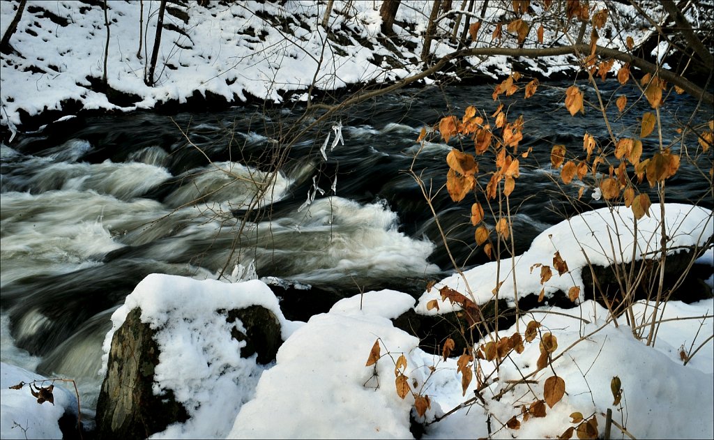 Cooper Grist Mill