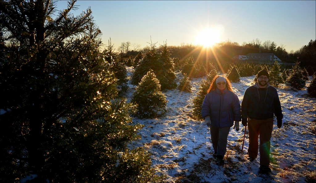 Christmas Tree Farm