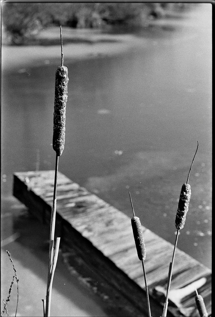 South Branch of the Raritan River