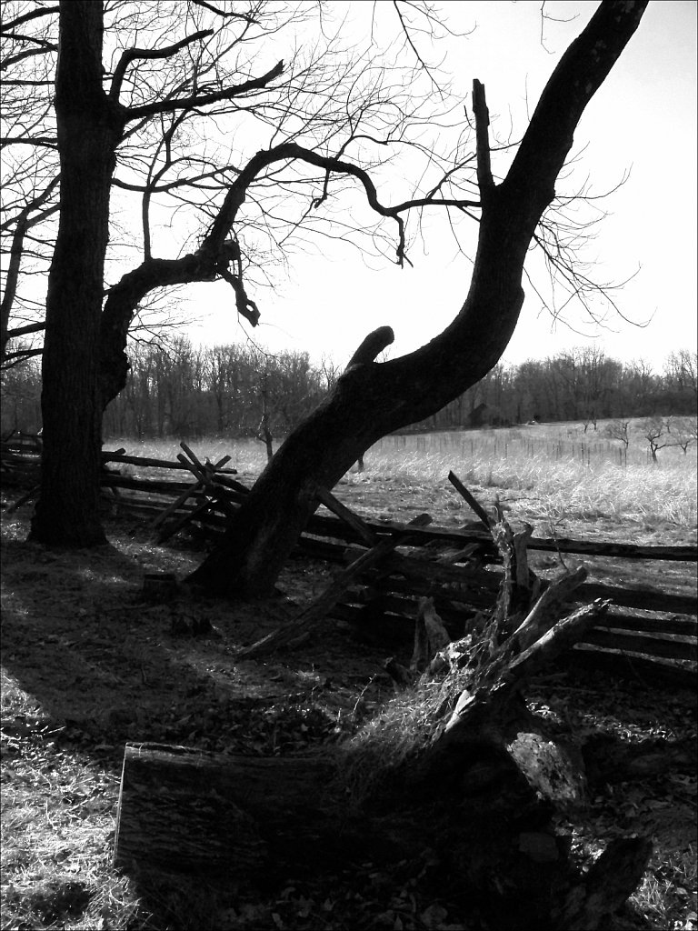 The Wick Farm at Jockey Hollow  