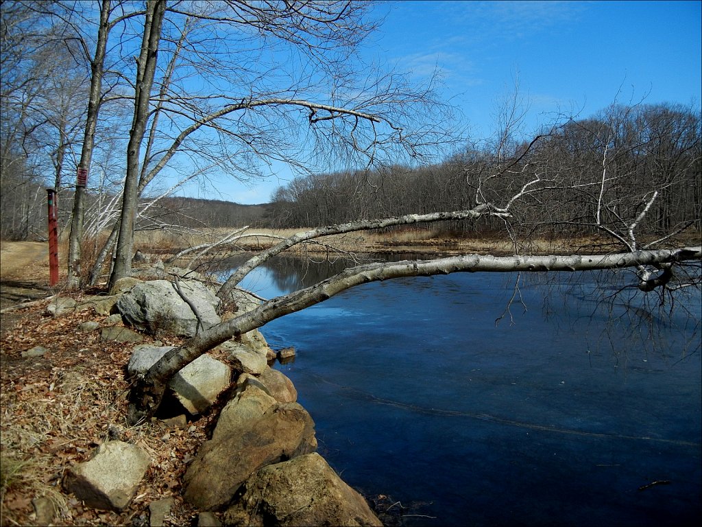 MAHLON DICKERSON RESERVATION  