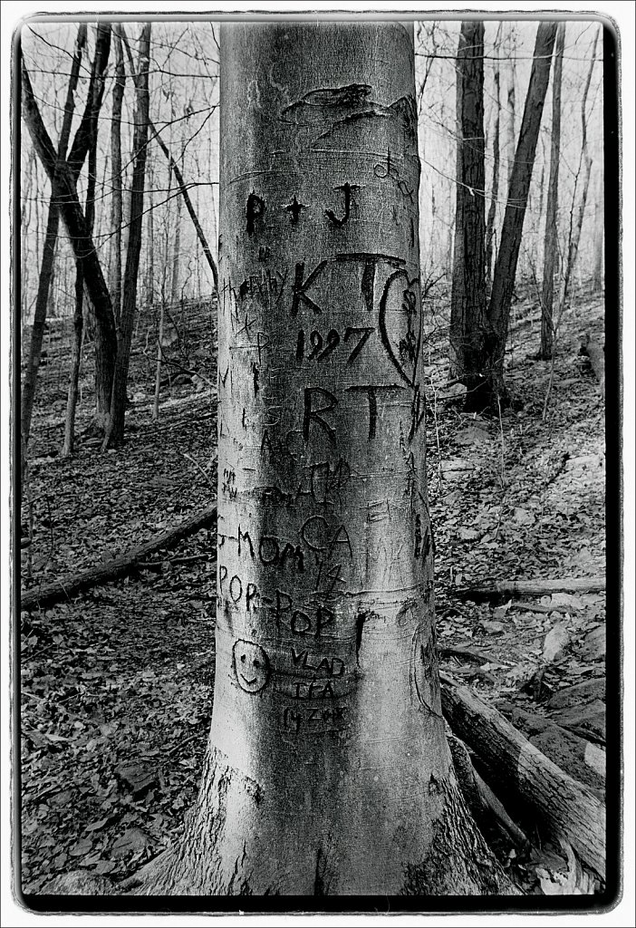 Schooley's Mountain Park