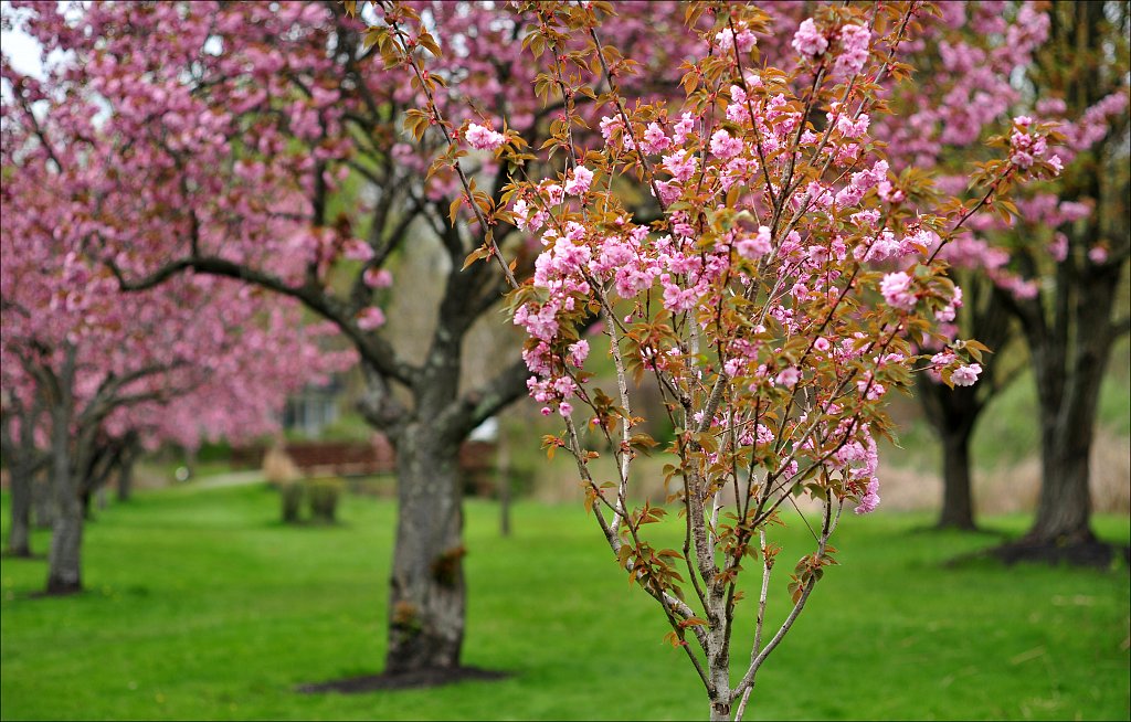 Hurd Park