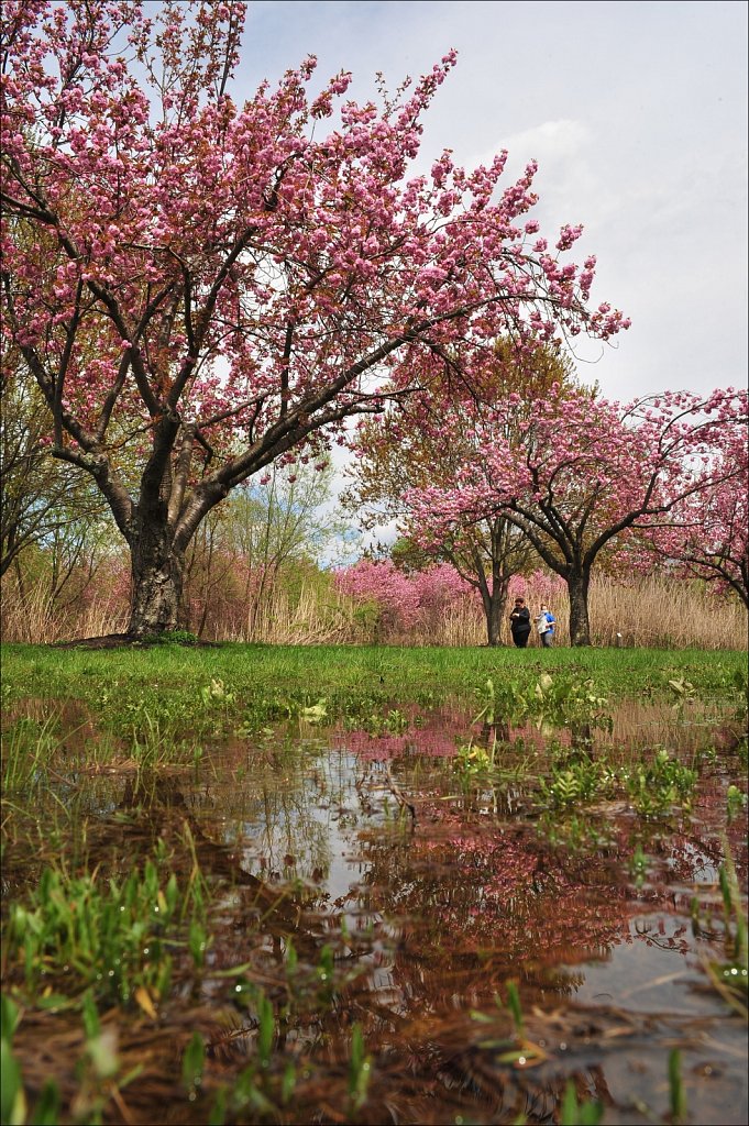 Hurd Park