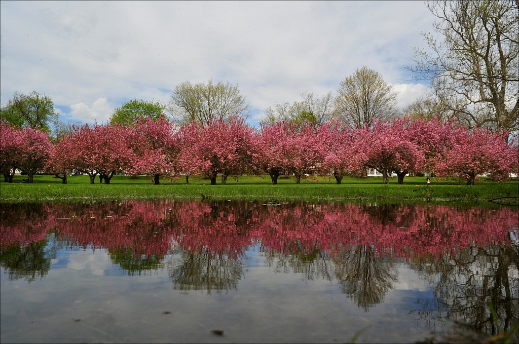 Hurd Park