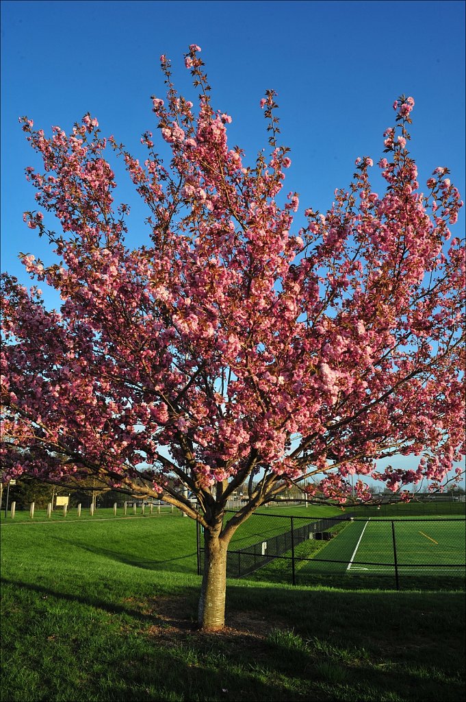 Turkey Brook Park