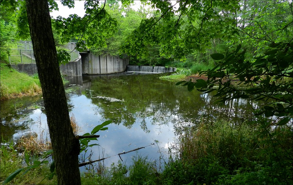 Black River County Park