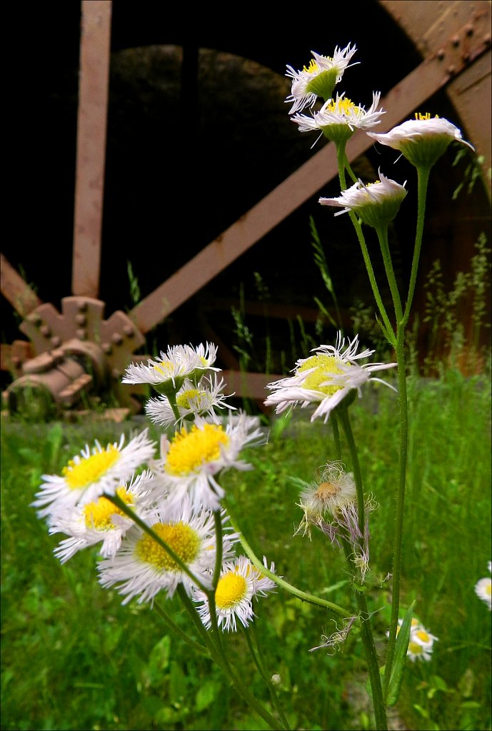 Black River County Park