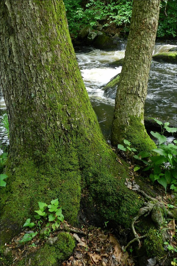 Black River County Park