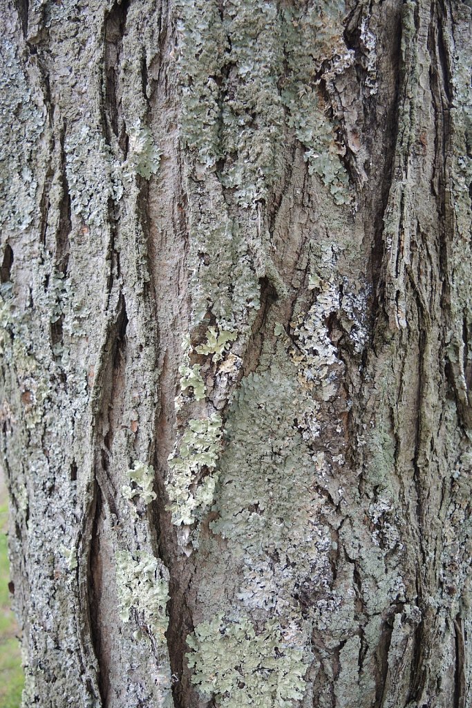Black River County Park