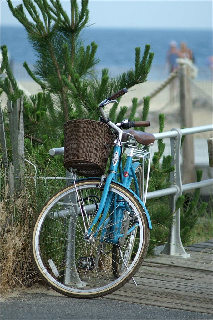 Along The Boardwalk