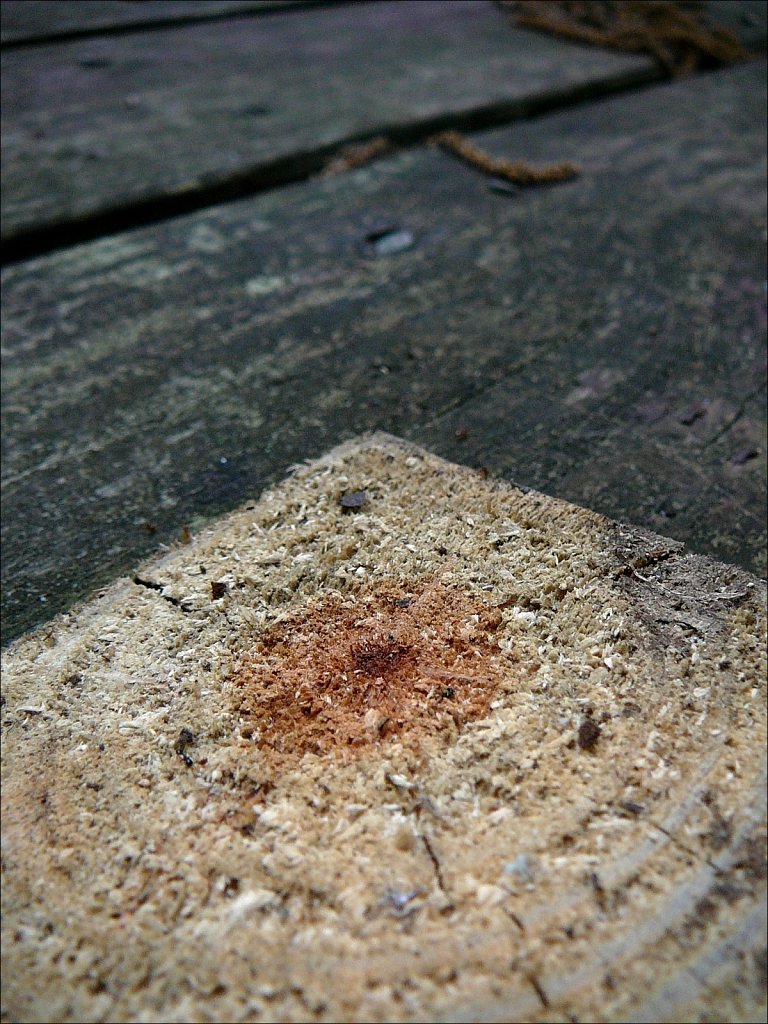 2020066F-P1020074.jpg