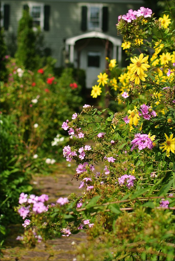 Willowwood Arboretum 