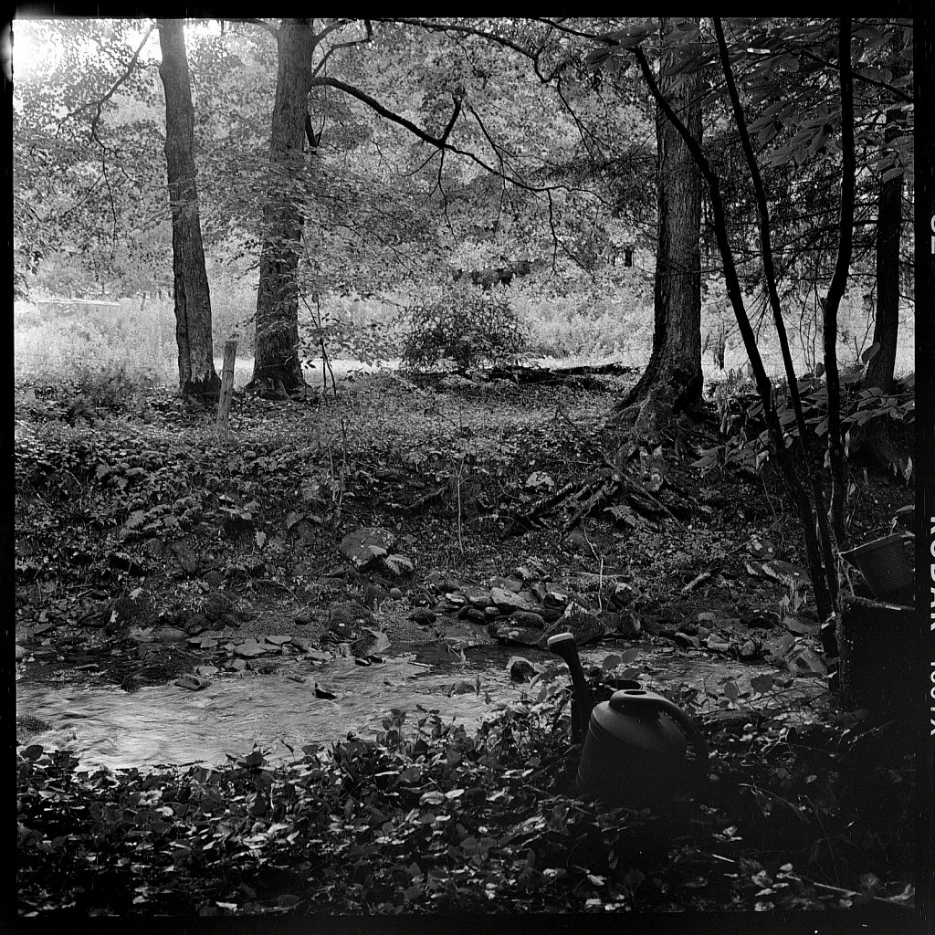 2020118F-Autocord-TriX-B-10.jpg