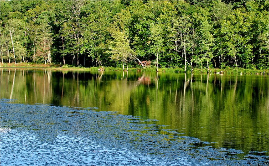 Maiers Pond