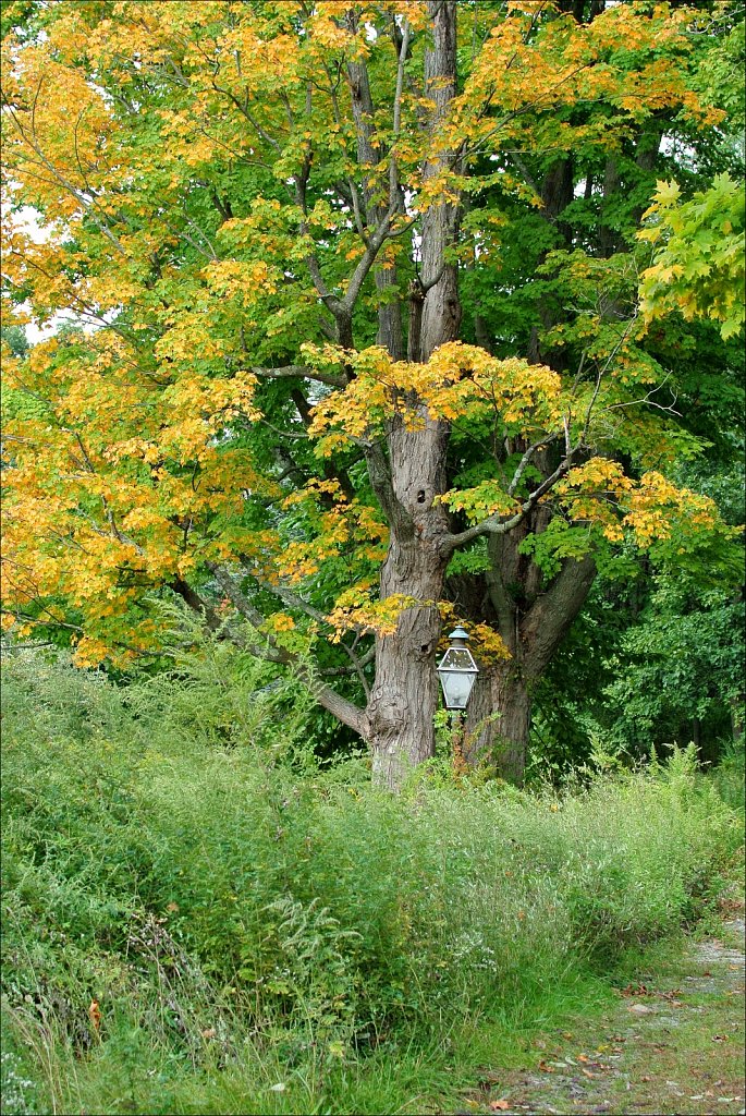 Skylands Manor - Ringwood State Park