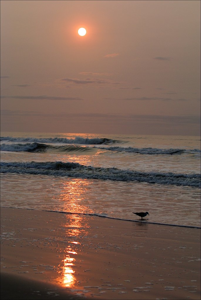 Wildwood Crest Beach