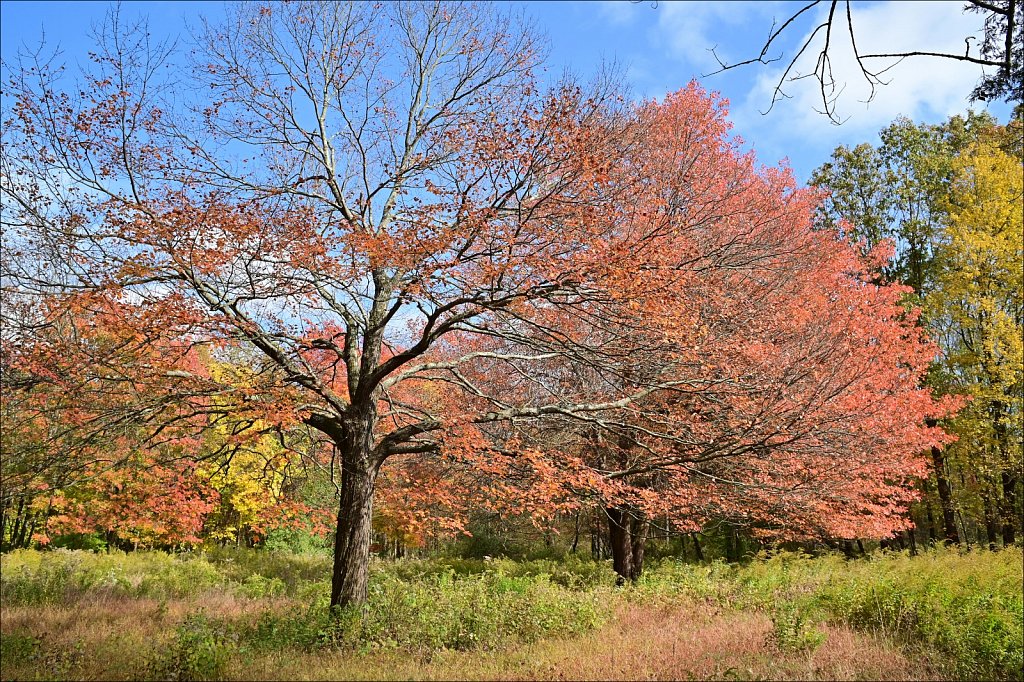 Schooley's Mountain Park