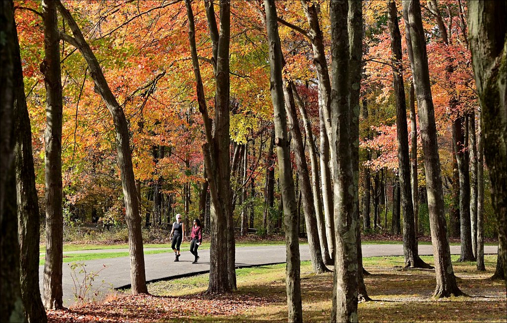 Schooley's Mountain Park