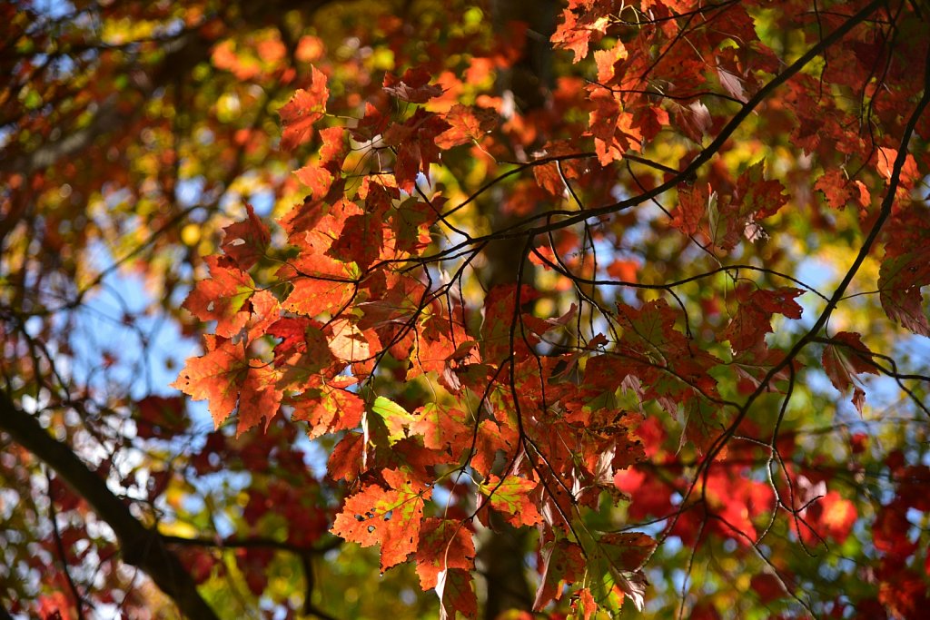 Schooley's Mountain Park