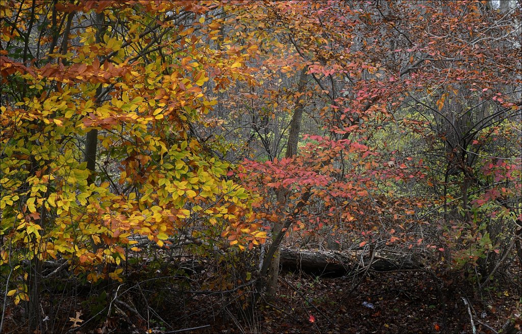 Schooley's Mountain Park